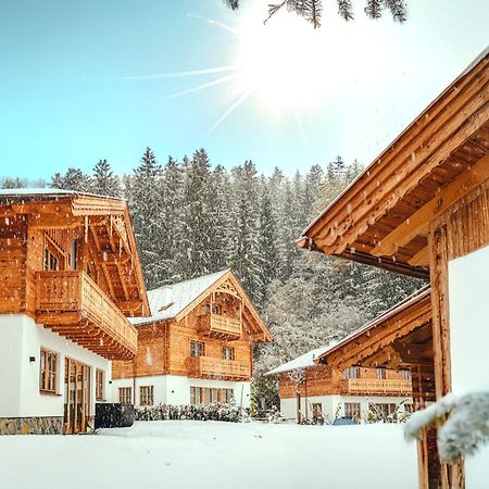 Luxury Chalets Gradenbach Near Schladming Haus im Ennstal Zewnętrze zdjęcie