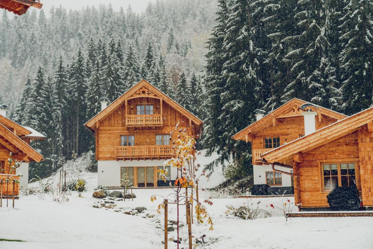 Luxury Chalets Gradenbach Near Schladming Haus im Ennstal Zewnętrze zdjęcie