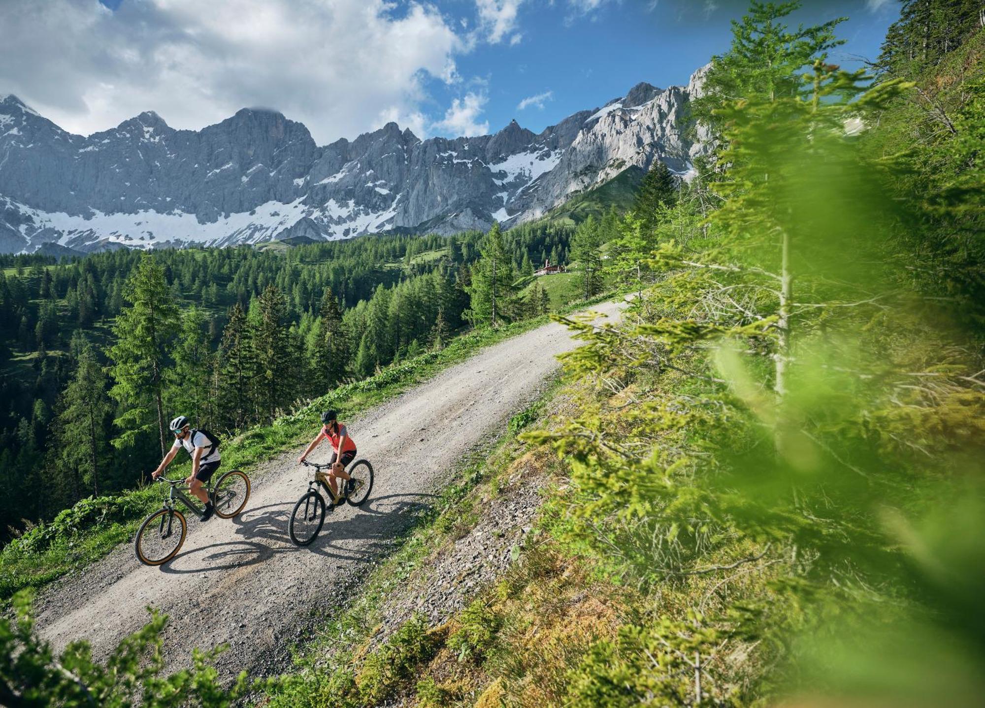 Luxury Chalets Gradenbach Near Schladming Haus im Ennstal Zewnętrze zdjęcie