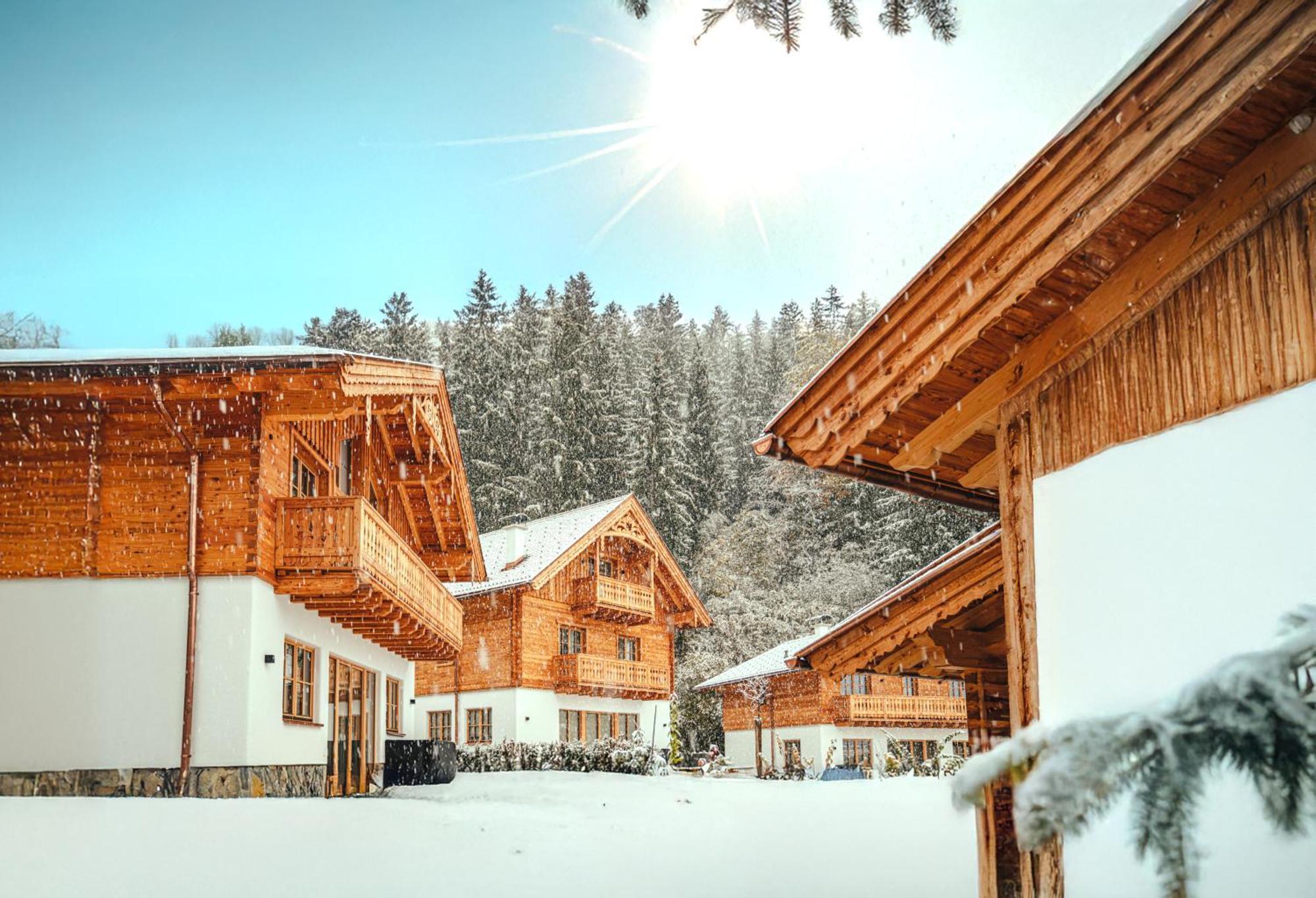 Luxury Chalets Gradenbach Near Schladming Haus im Ennstal Zewnętrze zdjęcie